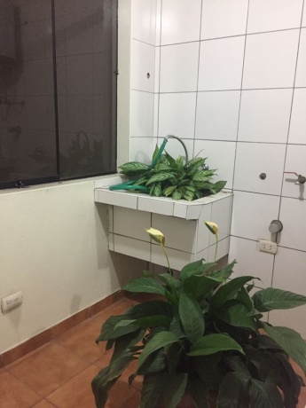 AV MELGREJO 321 LA MOLINA, LIMA, 01, 3 Bedrooms Bedrooms, ,2 BathroomsBathrooms,Departamento,Alquiler,LA MOLINA,3,1087