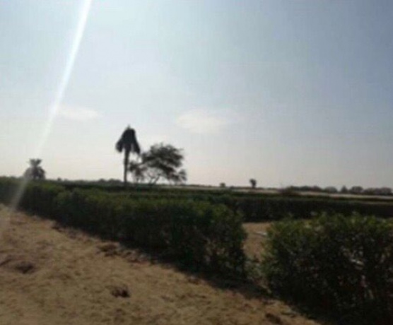 Lote,En Venta,1111