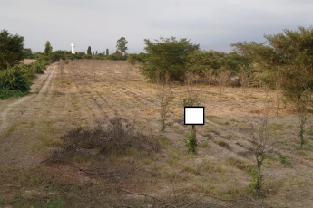 Subtanjalla, ICA, ,Lote,En Venta,1125