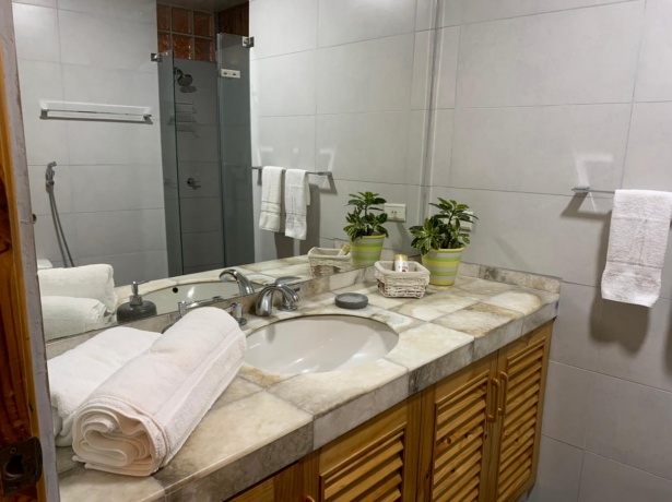 JR COMANDANTE O´DONOVAN 235 DPTO XXX, MIRAFLORES, 1 Bedroom Bedrooms, ,1 BathroomBathrooms,Departamento,En Venta,6,1126
