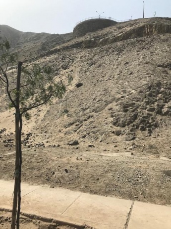 Calle 7 lote 12, la molina, ,Lote,En Venta,1191