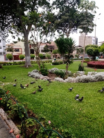 La Calera, Surquillo, 4 Bedrooms Bedrooms, ,4 BathroomsBathrooms,Departamento,En Venta,La Calera,8,1212