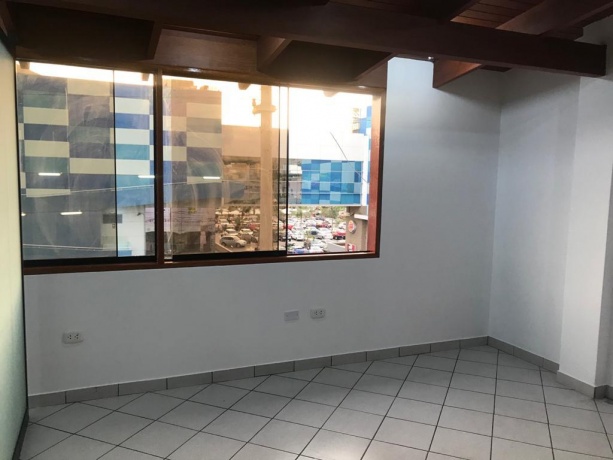 Las Caobas, La Molina, ,1 BathroomBathrooms,Oficina,En Alquiler,Las Caobas,1213