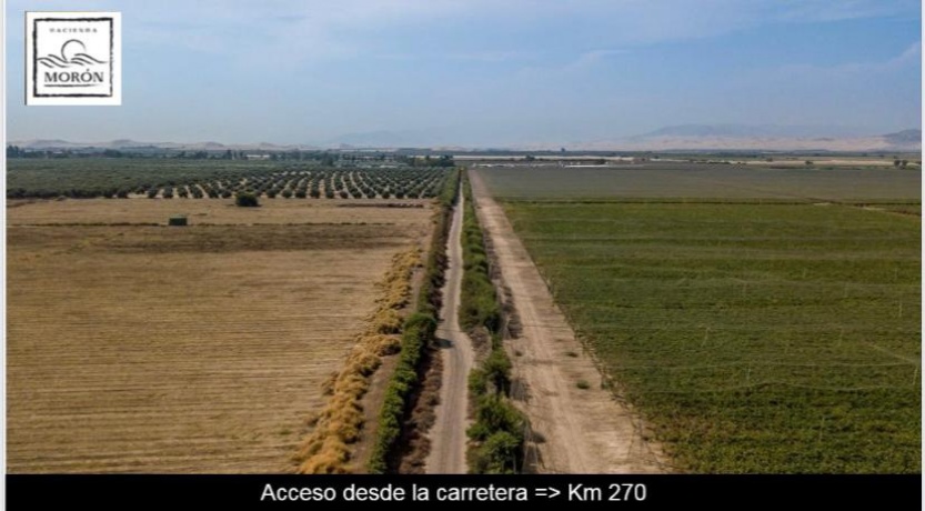 Hacienda Morón, KM270, ,Lote,En Venta,Hacienda Morón,1230
