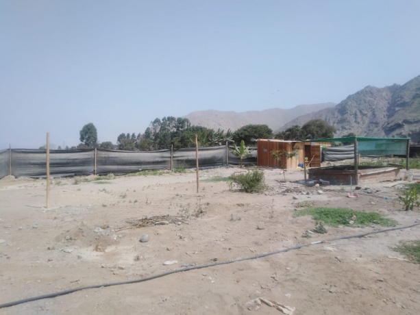 Av. Victor Malasquéz s/n parcela 8 - Zona 04 Manchay, Pachacamac, 15823, ,Lote,En Venta,Manchay ,1050