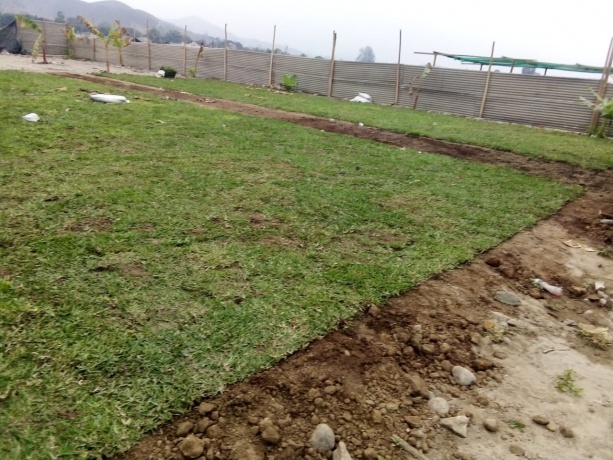 Av. Victor Malasquéz s/n parcela 8 - Zona 04 Manchay, Pachacamac, 15823, ,Lote,En Venta,Manchay ,1050